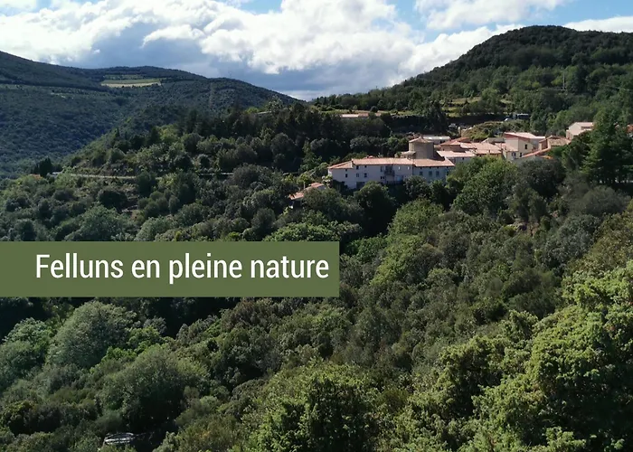 Pyrenees Mon Amour