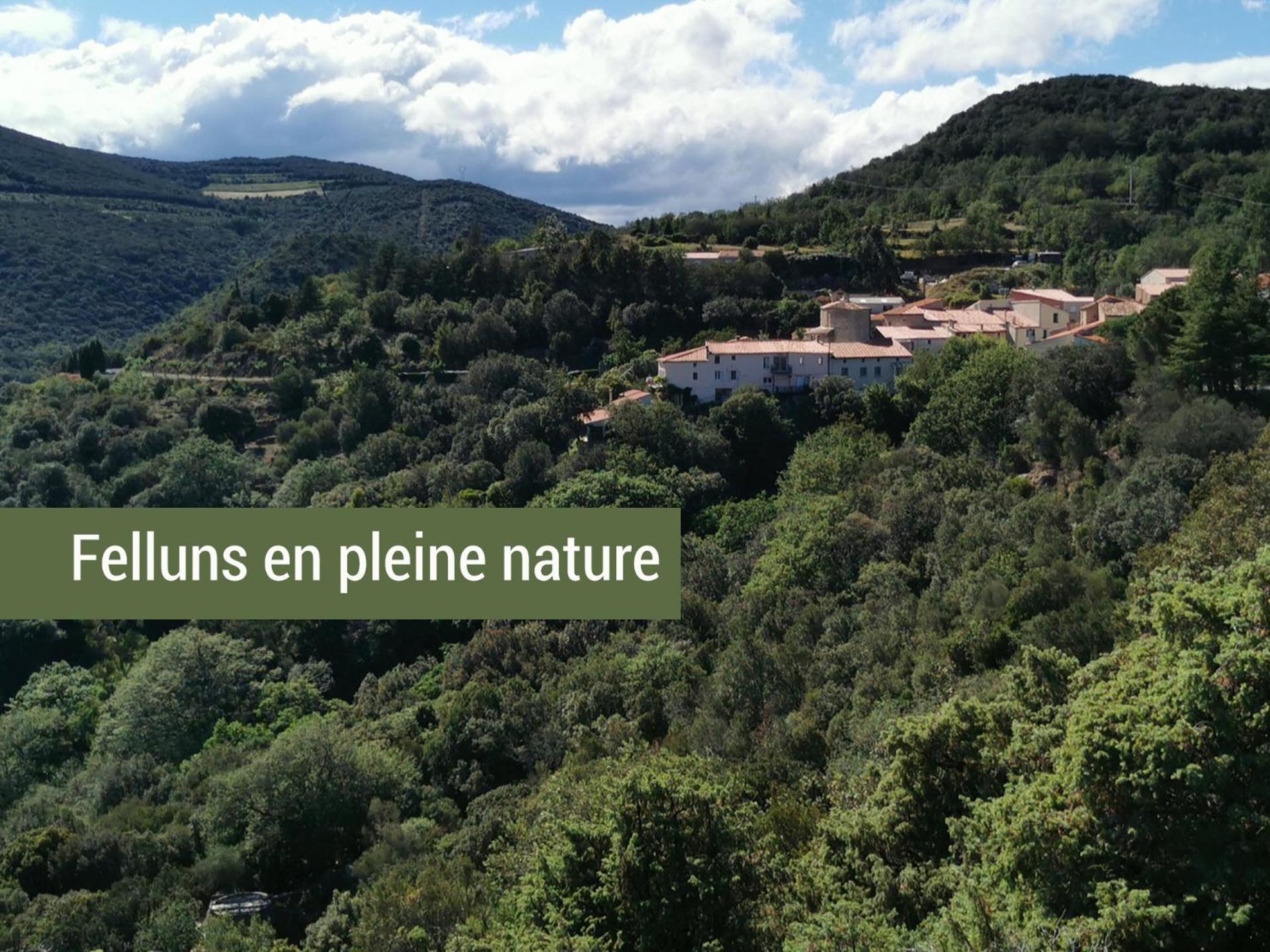 Ferienhaus Pyrenees Mon Felluns